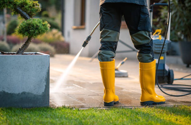 Best Roof Power Washing Services  in Cozad, NE